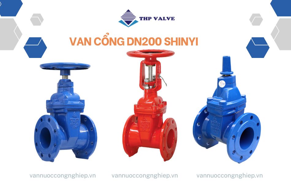 van cổng dn200 shinyi
