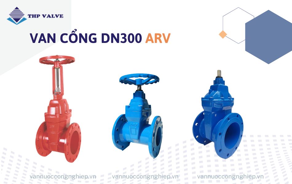 Van cổng DN300 ARV