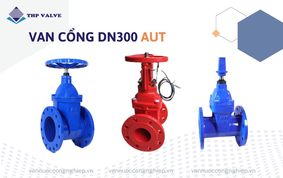 Van cổng DN300 AUT
