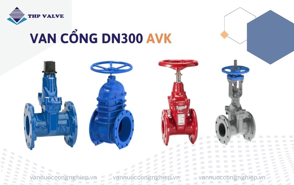 Van cổng DN300 AVK
