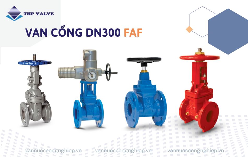 Van cổng DN300 FAF
