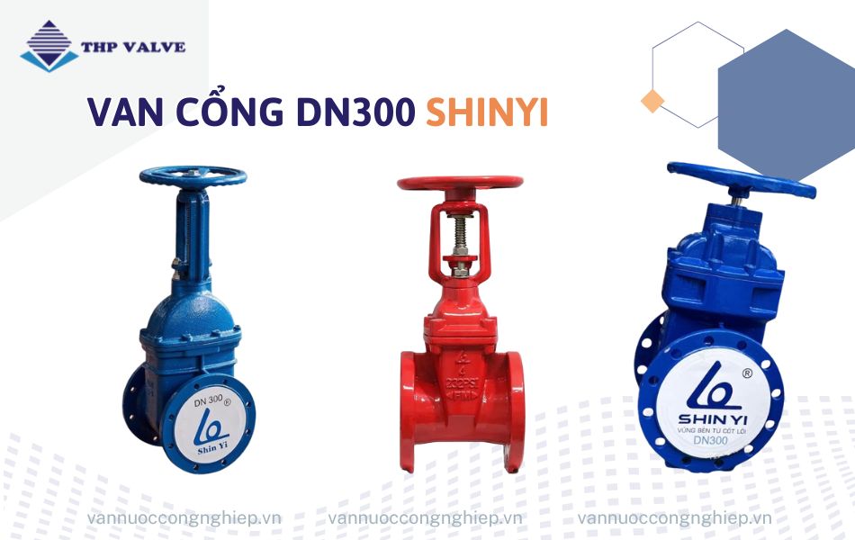 Van cổng DN300 Shinyi