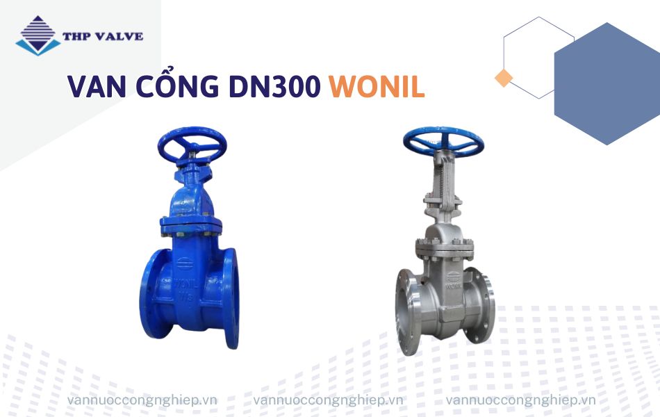 Van cổng DN300 Wonil