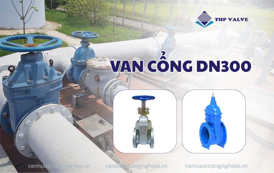 van cổng dn300